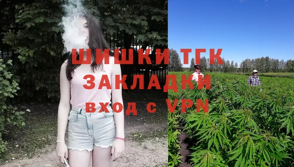 ГАЛЛЮЦИНОГЕННЫЕ ГРИБЫ Переславль-Залесский