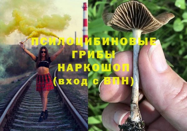 гашик Абаза