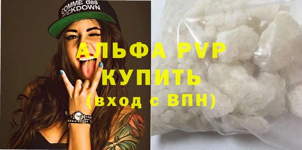 a pvp Пересвет