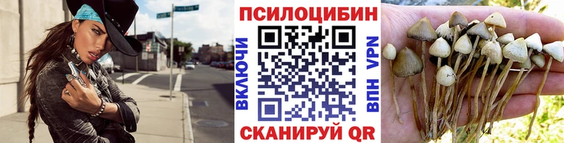 купить   Инза  Псилоцибиновые грибы мухоморы 
